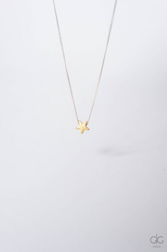 Minimal silver necklace with gold star - GG Unique