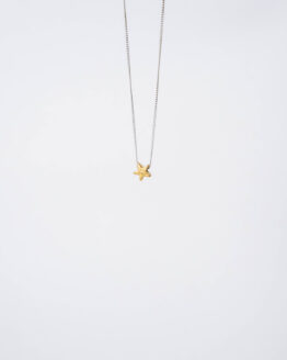 Minimal silver necklace with gold star - GG Unique