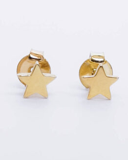 Gold-plated silver mini star earrings - GG Unique
